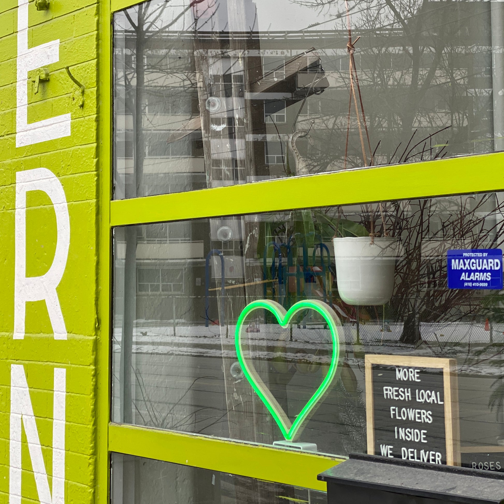 Green neon heart art displayed in a storefront window of a local flower shop - LED neon heart window decor for small businesses by Our Glowing Hearts, handmade in Canada